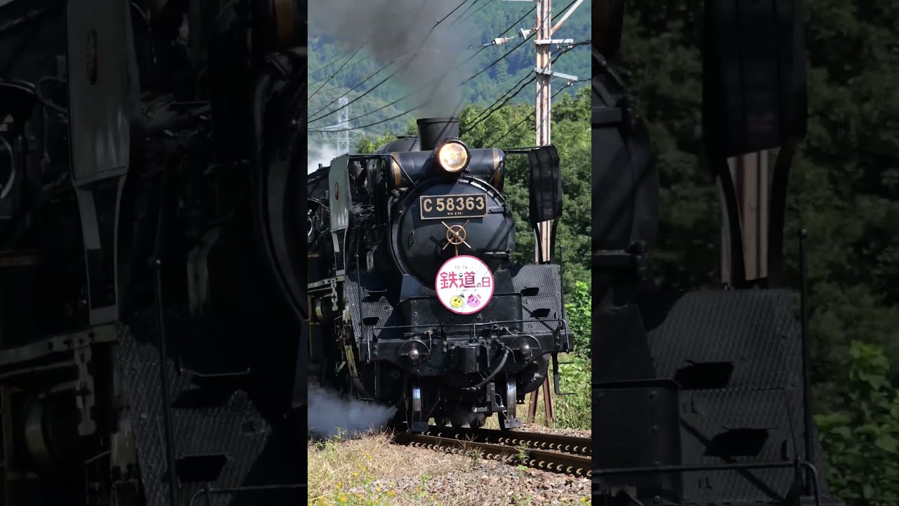 dadaページ C58363牽引 旧型客車：急行「パレオエクスプレス」 | マル