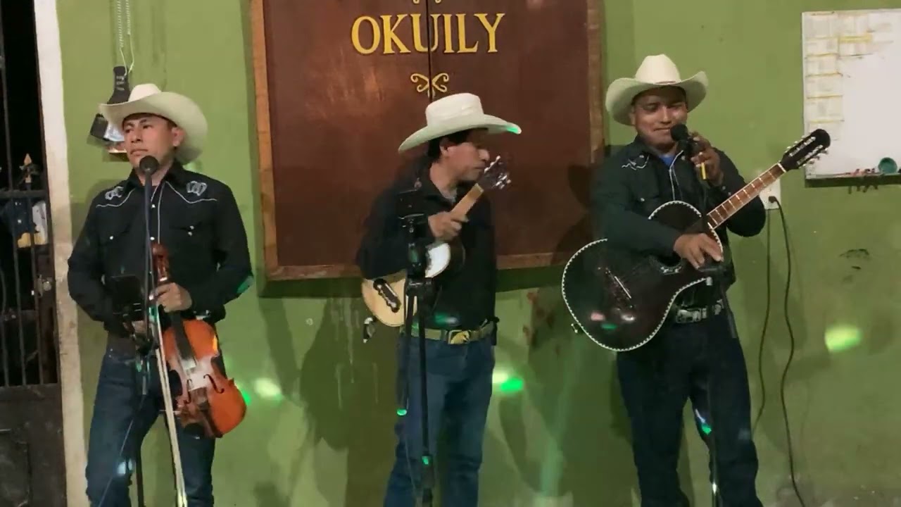 Trio Radiante huasteco de Poxtla Xilitla en vivo desde Okuily Producciones Garzha.