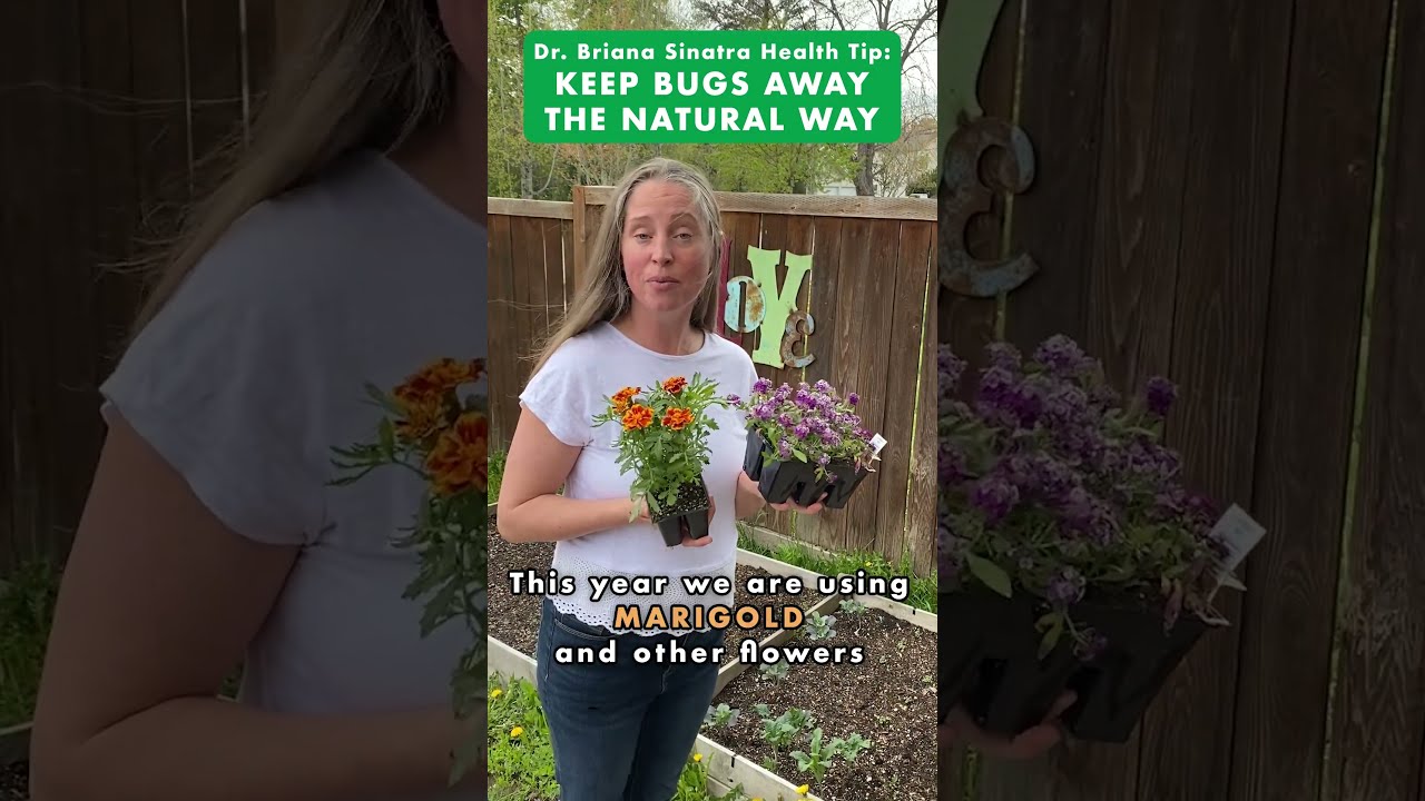 Keep Bugs Away The Natural Way