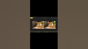 Collage Maker Using Python #shorts
