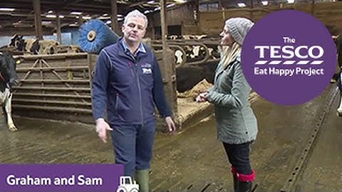 Magnificent Milk: where the cows live