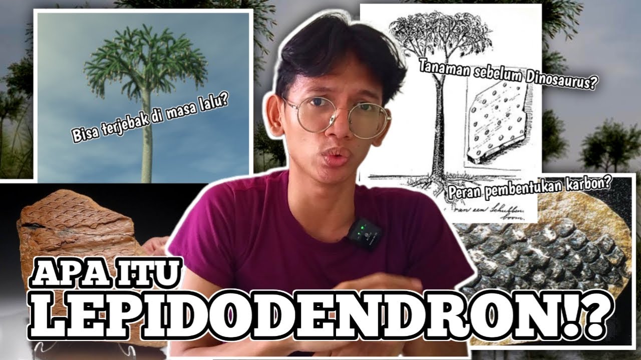 Lepidodendron!? Tanaman Purba yang bikin ke Masa Lalu!? Hidup sebelum Dinosaurus??