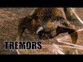 The Final Stand Off With 4-12 | Tremors: The Series