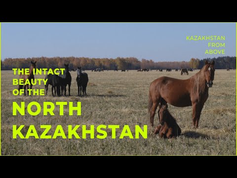The Intact beauty of the North Kazakhstan. «Kazakhstan from above»