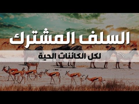 السلف المشترك لكل الكائنات الحية