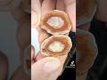 Cutting Dry Head Agate #hitechdiamond #thefinders #406 #youtubeshorts #agate #rockhounding #rocks