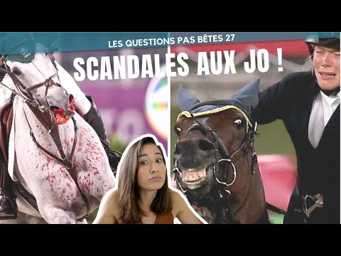 Vidéo: Pourquoi les American Quarter Horses font-ils de bons animaux de compagnie? Conseils d'un propriétaire, entraîneur et vétérinaire de l'AQH