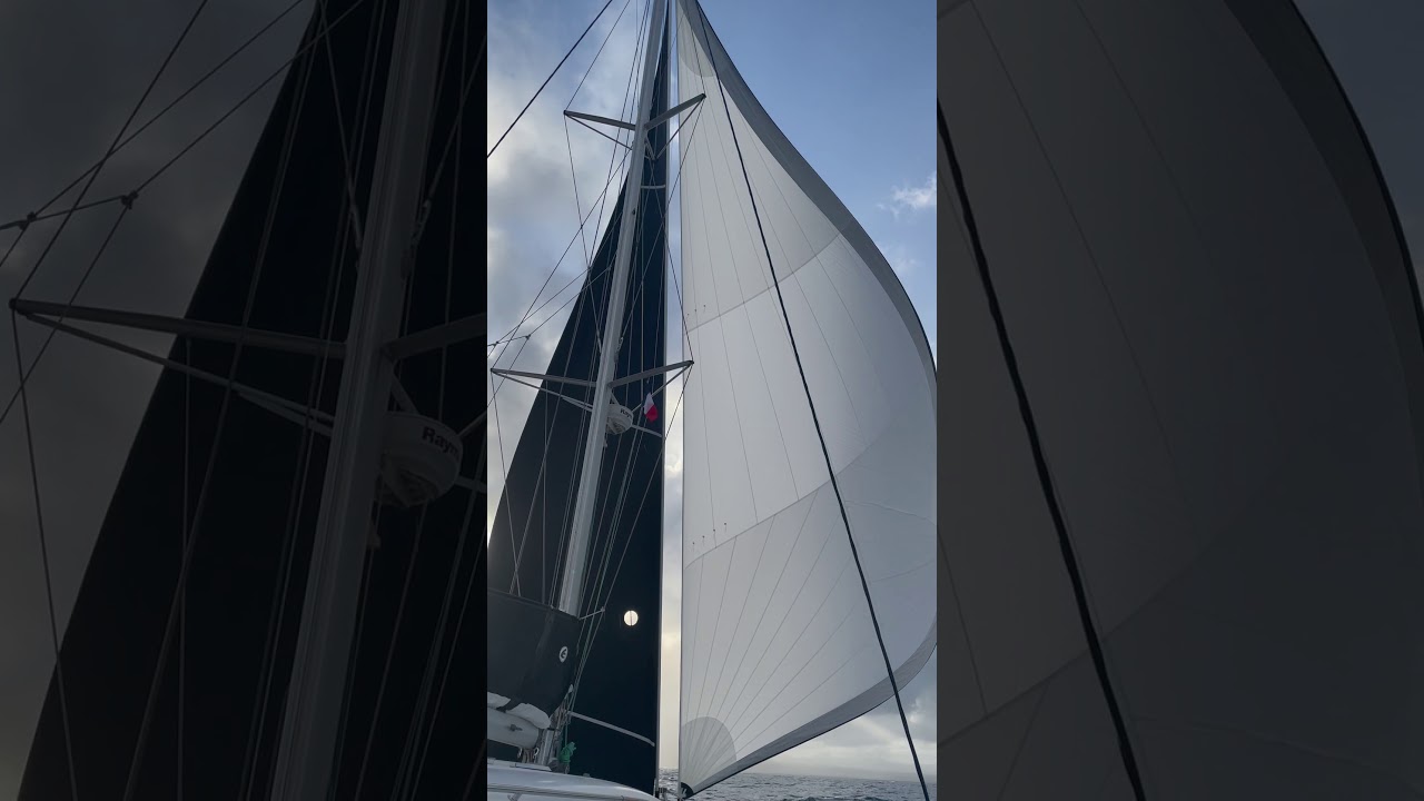 Wing on wing with new jib and code0