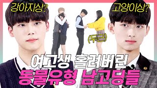 SUB)동물상 남친의 유형별 대처법 비교 (강아지상/고양이상/늑대상/사슴상) [상상여고 EP.10]