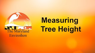 Measuring Tree Height