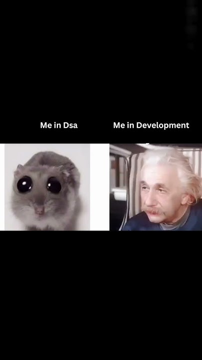 DSA vs Development 🥲 #coding #codinglife #memes #codingmeme - YouTube