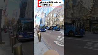 New York Police On Horses? This Looks Like A Movie Scene .