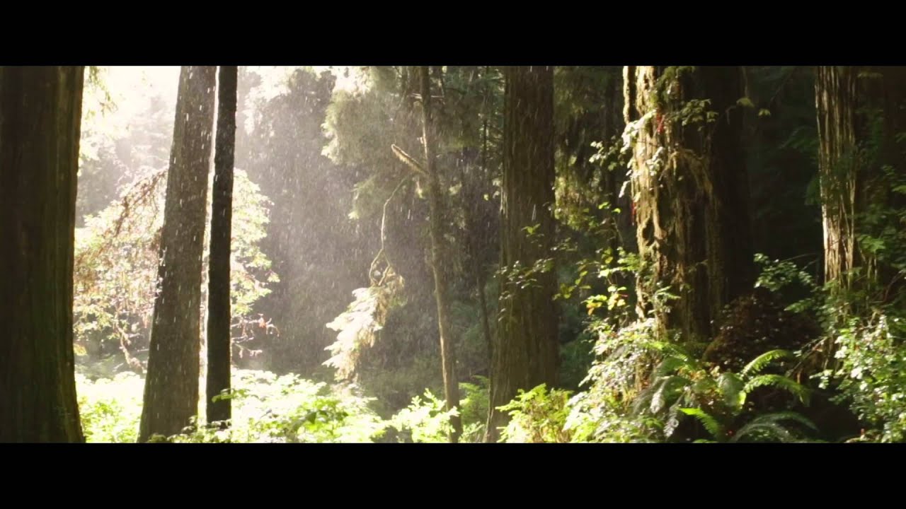 Star Wars Battlefront | Official Trailer | E3 2014