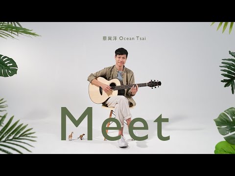 蔡巽洋《Meet 遇見》吉他指弹 : Fingerstyle演奏｜LS600 全單吉他｜aNueNueMusic