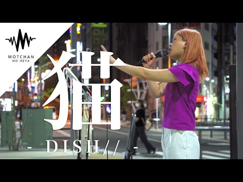 【圧巻の歌声‼︎】通る人が続々と足を止めた歌声が最高に良かった‼︎ 猫 / DISH （Covered By 大野紗代）