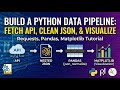 How to Analyze API Data in Python: Requests, Pandas &amp; Matplotlib Tutorial