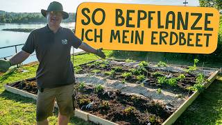 Ich bepflanze ein riesiges Gemüsebeet wie ein Landwirt
