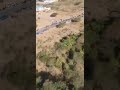 AERIAL VIEWS OF FOOD LINES IN SOUTH AFRICA