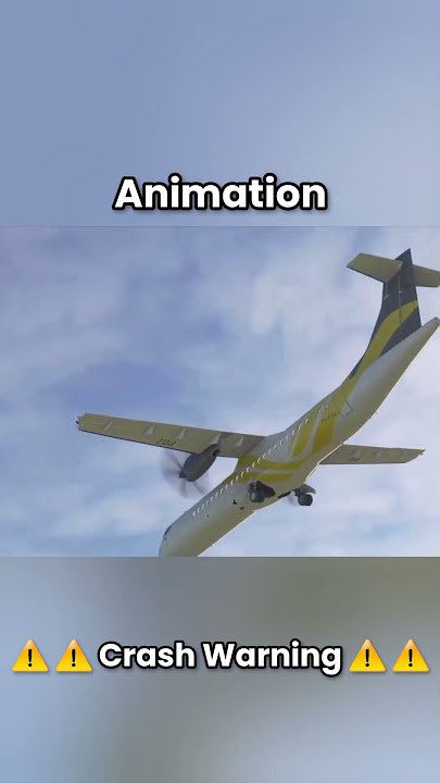 Voepass 2283 Animation vs Real #aviation #crash  #plane