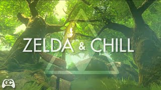 Vignette de la vidéo "Zelda & Chill ▸ Lost Woods ▸Mikel Lofi Remix"