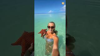 The Starfish এটি কী করল? 😱 #shorts