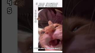 Sound Number 3 Is Ilegal