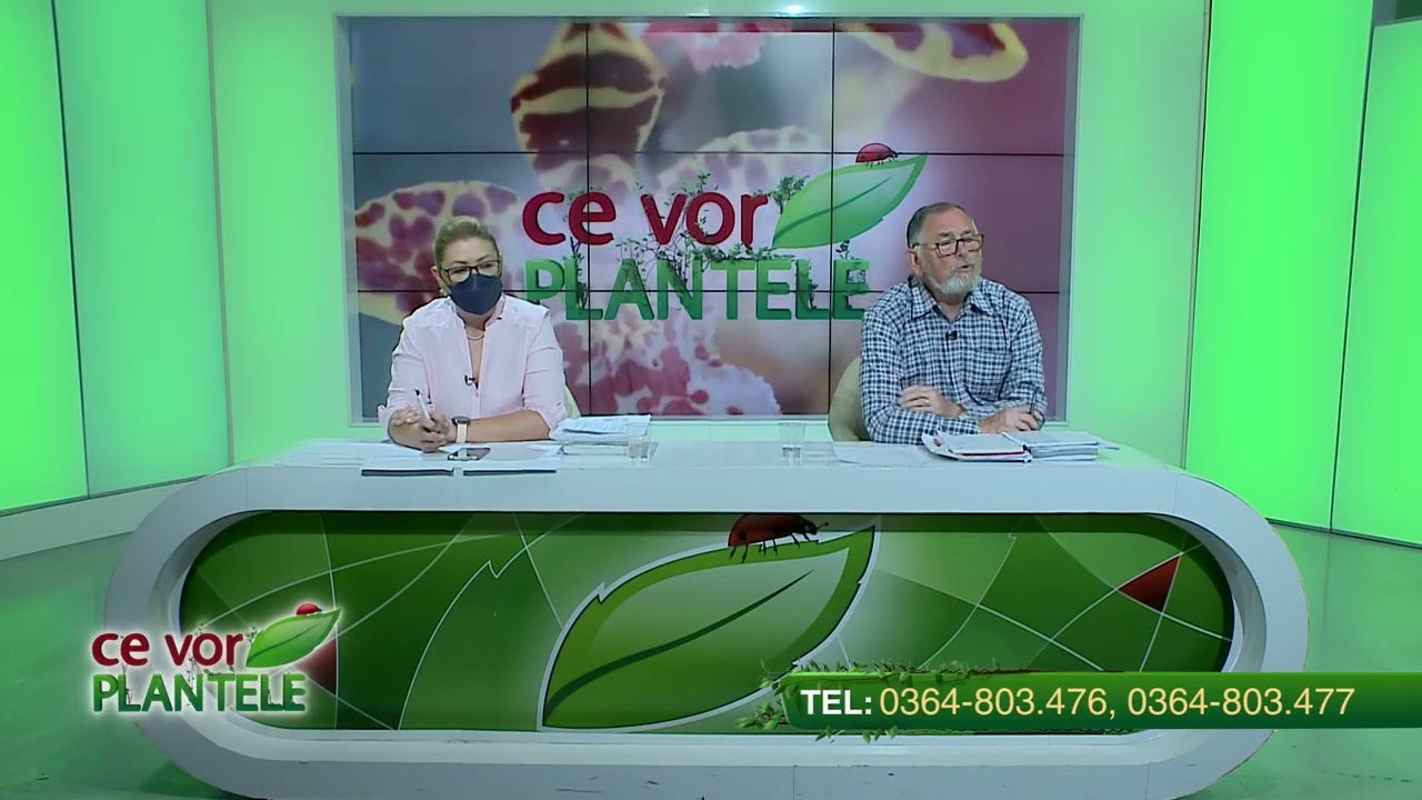 VIDEO Dr. Ing. Horia Ghibu - Tratamente pentru pomii fructiferi împotriva focului bacterian 1 VIDEO Dr. Ing. Horia Ghibu - Tratamente pentru pomii fructiferi împotriva focului bacterian YouTube player