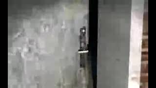 vidcam 2008 4 30 17 31 08