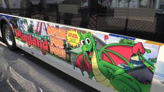 Take the Bee-Line Bus to Playland!