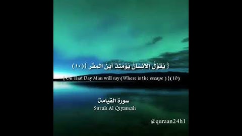تلاوة بصوت الشيخ وديع اليمني | فإذا برق البصر وخسف القمر