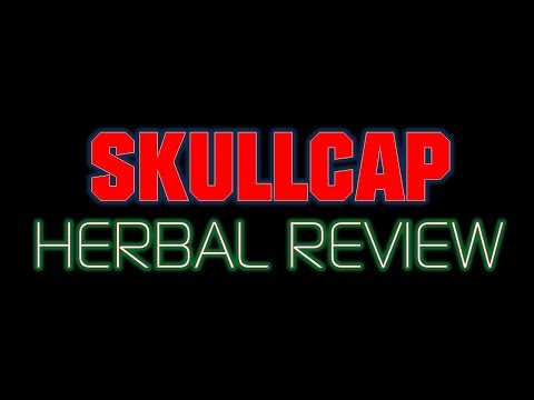 Video: Poliscias Skullcap