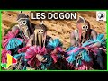 Ba maliba histoire et culture des dogon  mali sadio 30