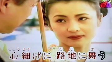 冬牡丹伍代夏子字義版mp3