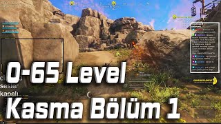 0-65 Level Kasma Maceresi Bölüm 1 | New World Türkçe