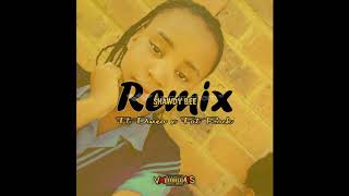 VxM Beats verse on Shawdy Bee Remix Ft Dineo & Fat Rock