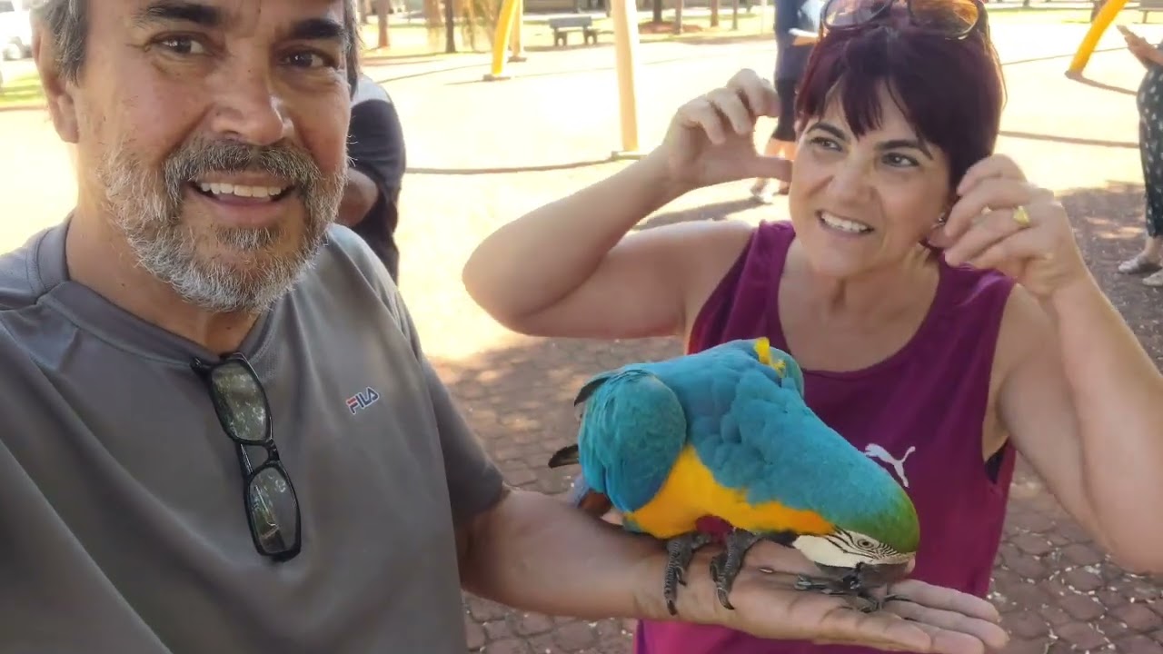 PRAÇA DAS ARARAS EM ILHA SOLTEIRA SP COM AMIGOS 
