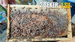 How to Prevent Moisture in Beehives? | Winter Syrup (2-to-1) and September Maintenance