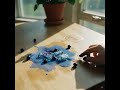 Luna's is Blueberry Girl Home Inside Table Outside Folk ballad Song