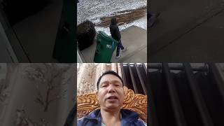 funny viral video #funny boys #shortvideo #viral #ytshorts #funnyviralvideo🧑‍🏫🧑‍🏫🧑‍🏫😁😁😁😁