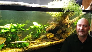 Lets Talk About Low Kh But High Ph