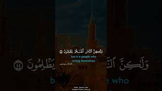 إِنَّ اللَّهَ لَا يَظْلِمُ النَّاسَ شَيْئًا وَلَٰكِنَّ النَّاسَ أَنفُسَهُمْ يَظْلِمُونَ #quran #سعود