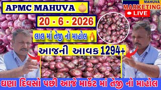જોવો આજની લાલ અને સફેદ ડુંગળી ની લાઈવ હરાજી | APMC MAHUVA | આજની આવક 1294+ થેલા આખી | screenshot 4