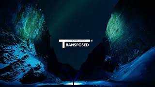 Insomnia Transposed - Faithless