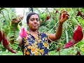 healthy village foods /special hummingbird tree flowers recipe / village kitchen  recipe /sri lanka