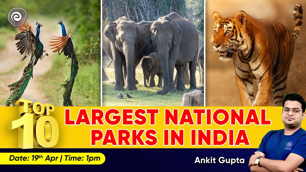 Top 10 Largest National Parks In India Current Affairs 2023 Ankit Top 10 Largest National Parks In India Current Affairs 2023 Ankit