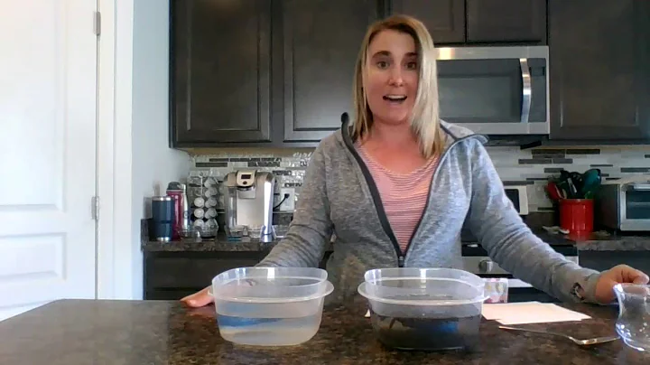 Freddy the Fish Experiment with Mrs. Cosman