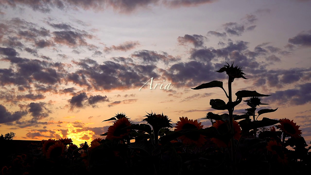 Watch ARIA(Remaster) Tomoya Naka on YouTube Watch ARIA(Remaster) Tomoya Naka on YouTube