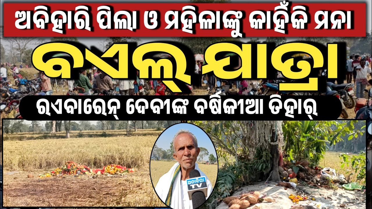 ଅତାବିରା ଝିଲିମିଣ୍ଡା ଗ୍ରାମରେ ବଏଲ୍ ଯାତ୍ରା !! ରଏବାରେନ ଦେବୀଙ୍କ ନିଆରା ପରମ୍ପରା !! #attabiratv