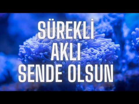 KENDİNİ SÜREKLİ DÜŞÜNDÜR AKLI HEP SENDE OLSUN