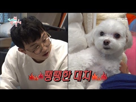 [HOT] Ignore the call of the owner ,전지적 참견 시점 20190223
